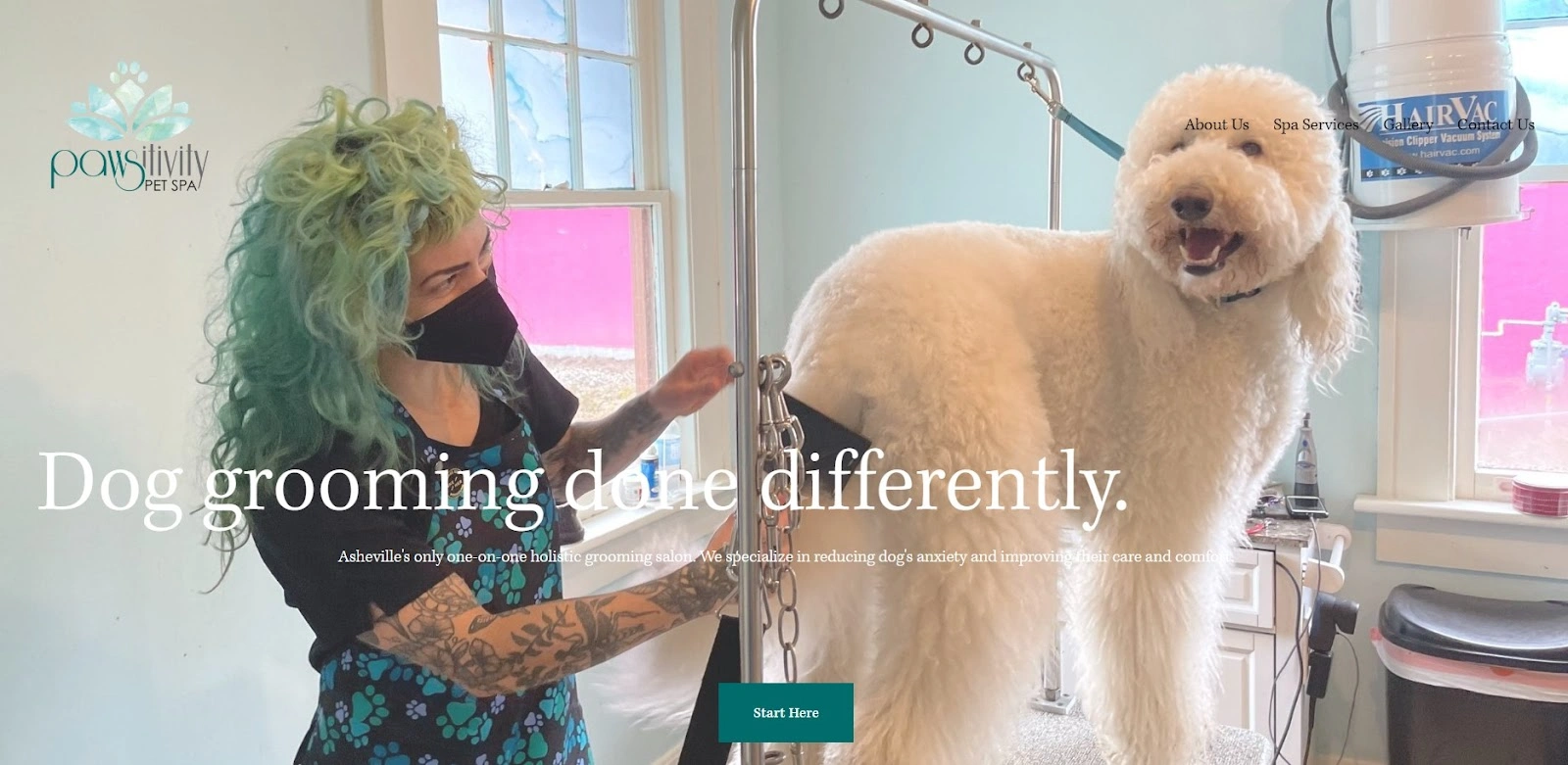 Pawsitivity Pet Spa